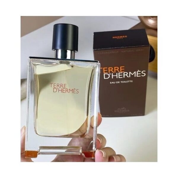 Hermès Terre d'Hermès Eau de Toilette 100ml